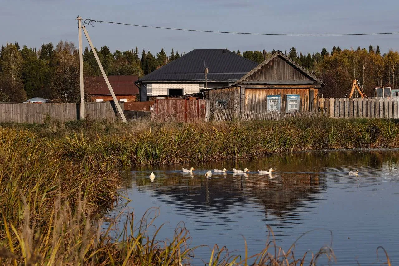 Деревенское утро