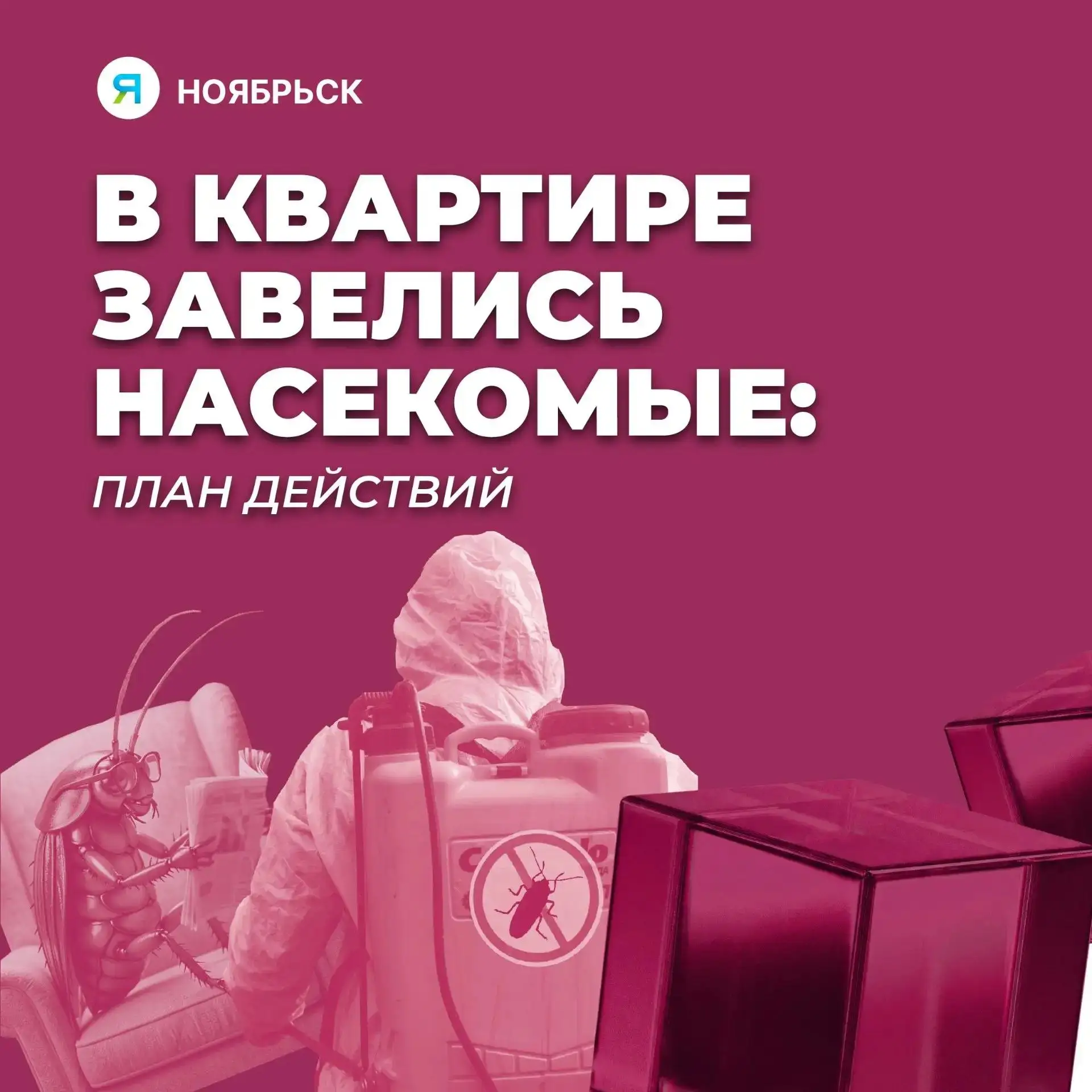 🪳В некоторых домах Ноябрьска расплодились тараканы, муравьи и сверчки