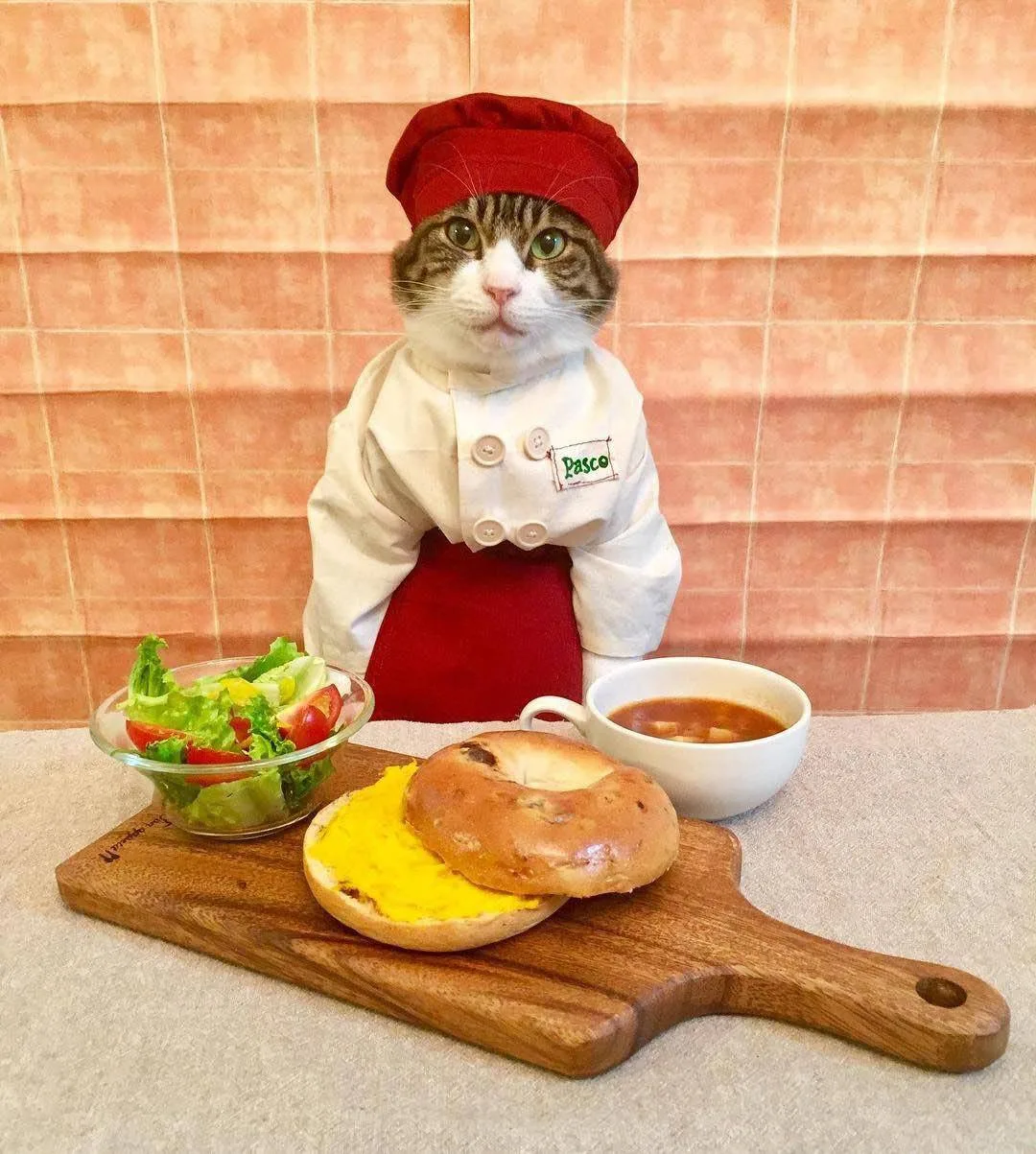 🍘Сегодня день приготовления любимого блюда