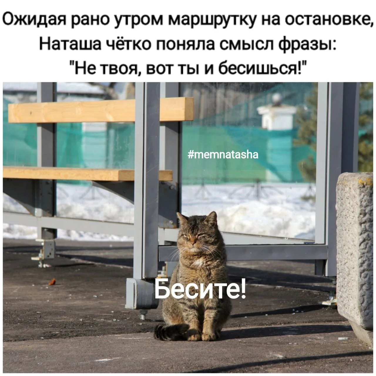 Доброе утро, друзья❤️