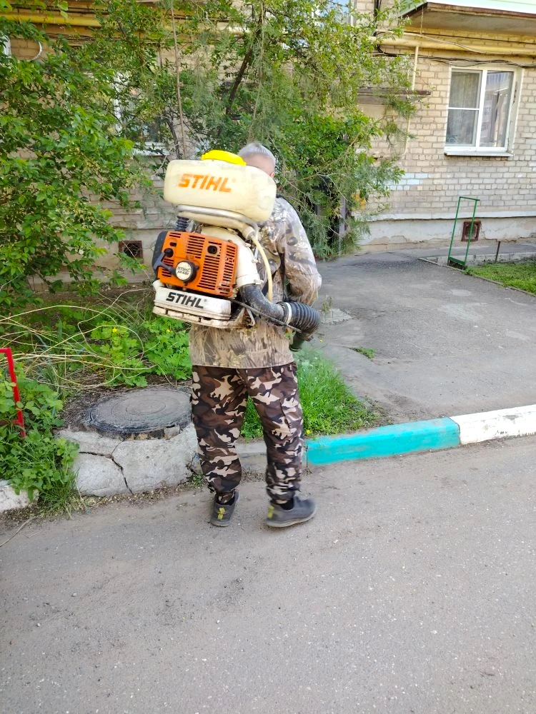 К новости «🌿 Уют начинается с чистого двора!»
