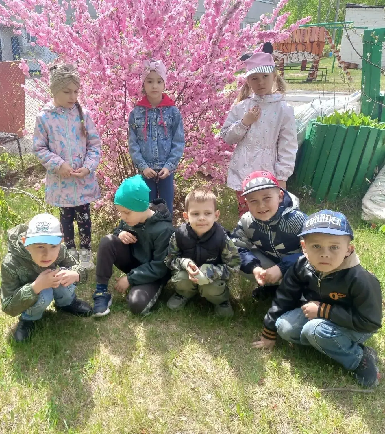 Наш садик утопает в зелени и цветах! Солнышко греет ласковее, а на участках распускаютс...