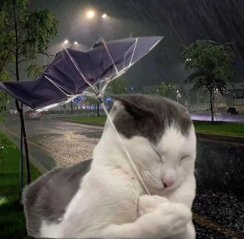 ☔️ Погодка решила раздать экстрима

На акваторию Азовского моря надвигается полный расколбас. Во вто