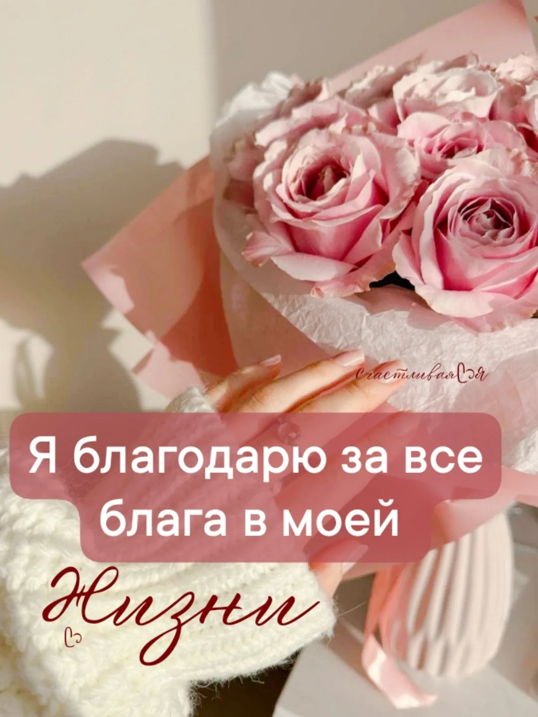 Благодарю