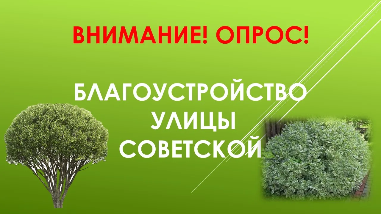 Уважаемые жители с. Киясово! Приглашаем вас принять участие в опросе по благоустройству...