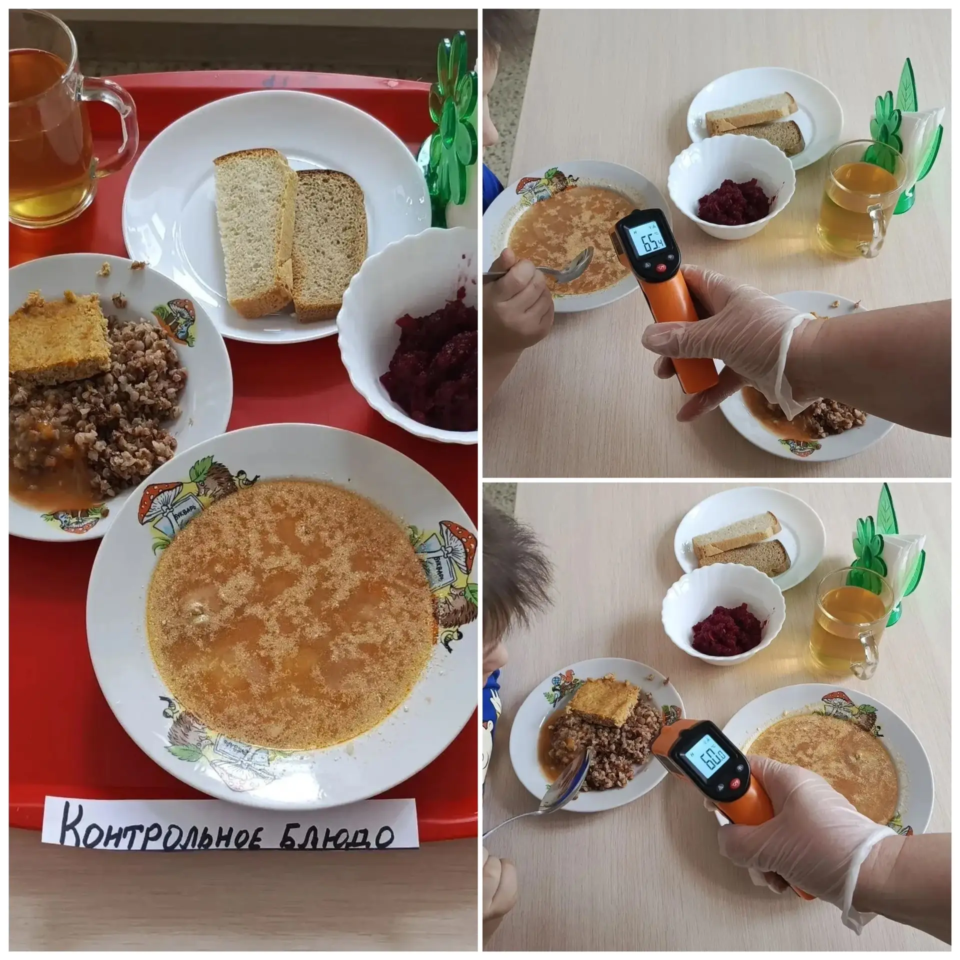 МОУ «СОШ №2 им. Димитрия