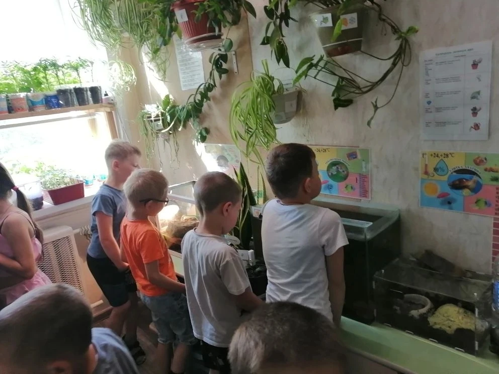 🌼✨ Познавательное  путешествие в мир природы:  для ребят из группы "Солнышко" прошло з...