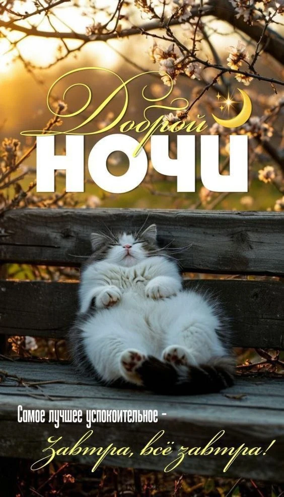 Открытки любимым 🌸🥰