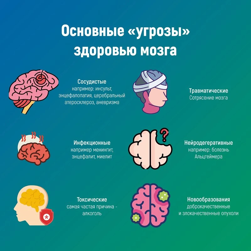 С 20 по 26 июля 2026 года проходит Неделя сохранения здоровья головного мозга — она приурочена к Все