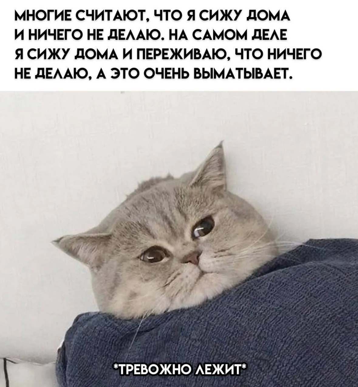 Хотелось бы тревожно лежать, но пока едем на работу❤️