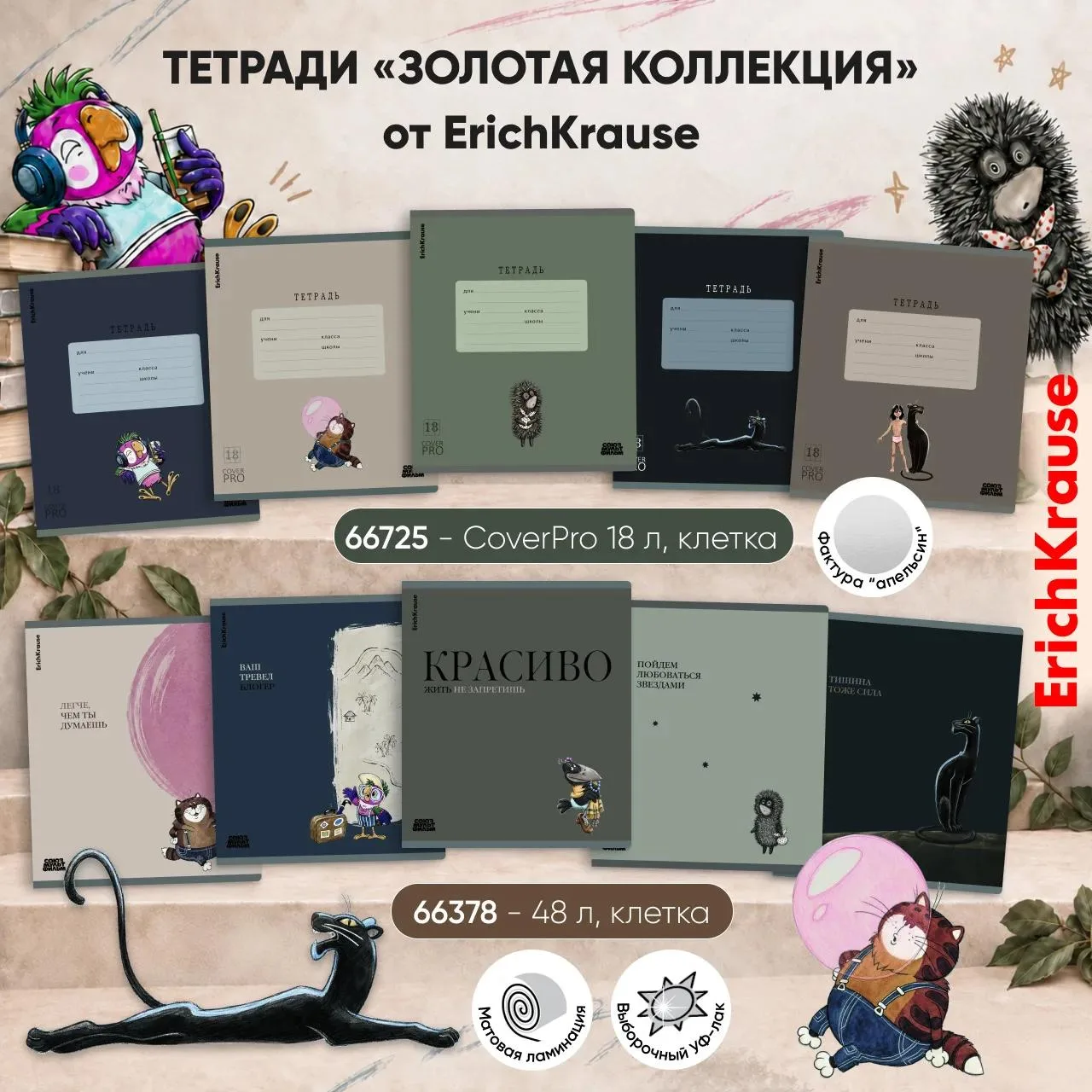 НОВИНКА 🌟