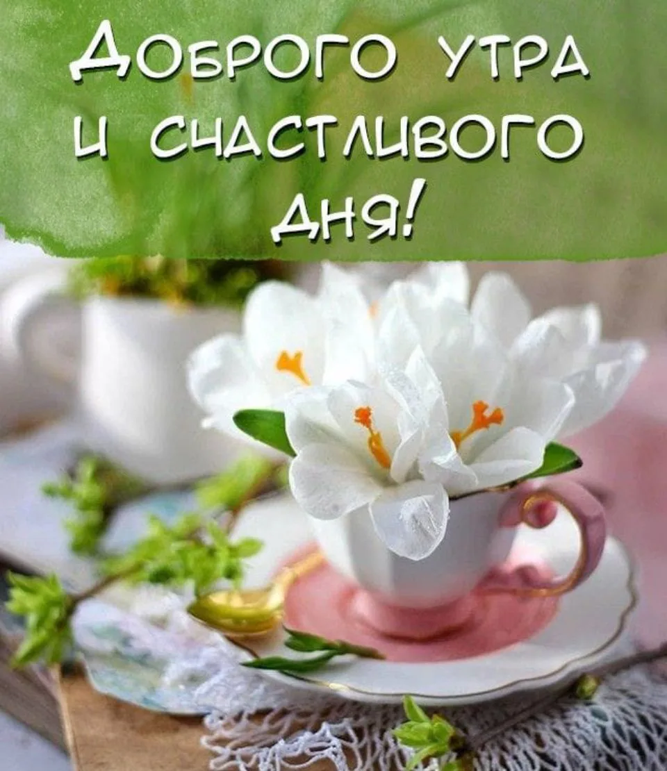 С Добрым утром среды 🌞
Пусть день будет наполнен радостными и счастливыми событиями 🥰 
Здоровья, у