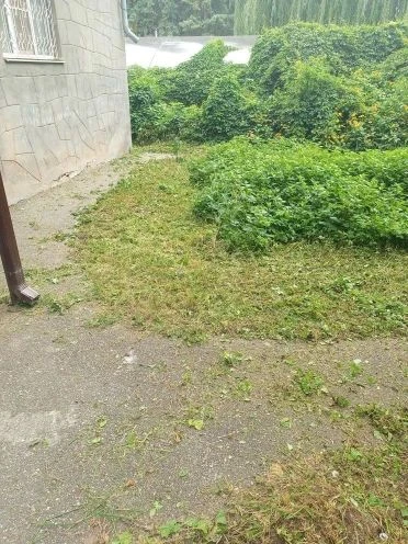 Уважаемые жители МКД 43 по ул К. Цеткин  в вашем дворе провели покос травы
