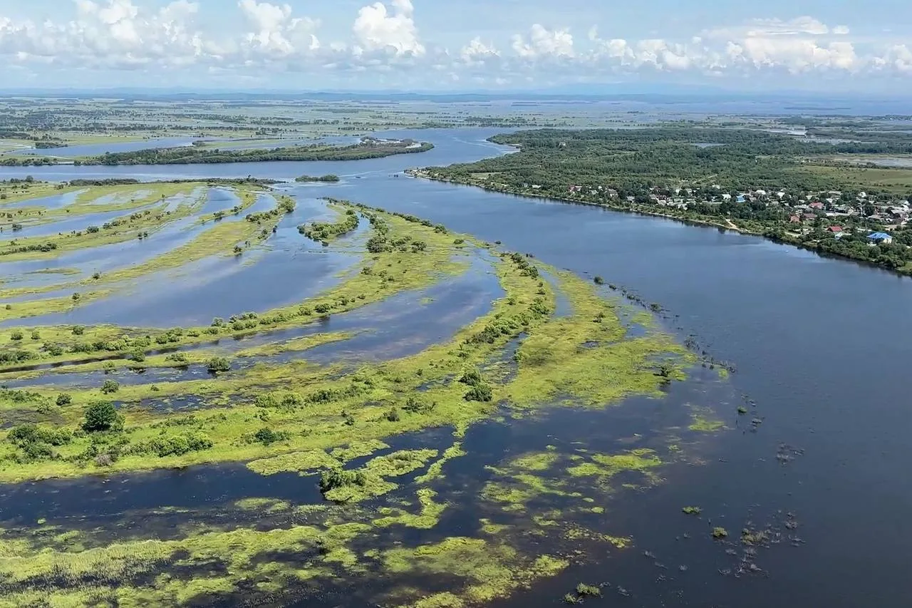 🌊 Уровень Амура в ЕАО снижается
