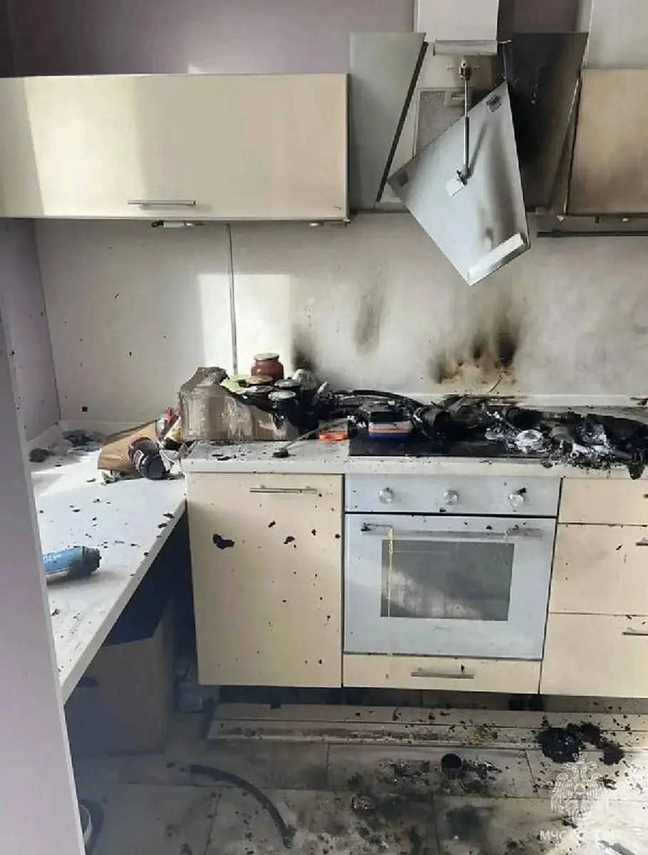 Кадры из московской квартиры, где домашний кот устроил взрыв. Хвостатый остался дома од...
