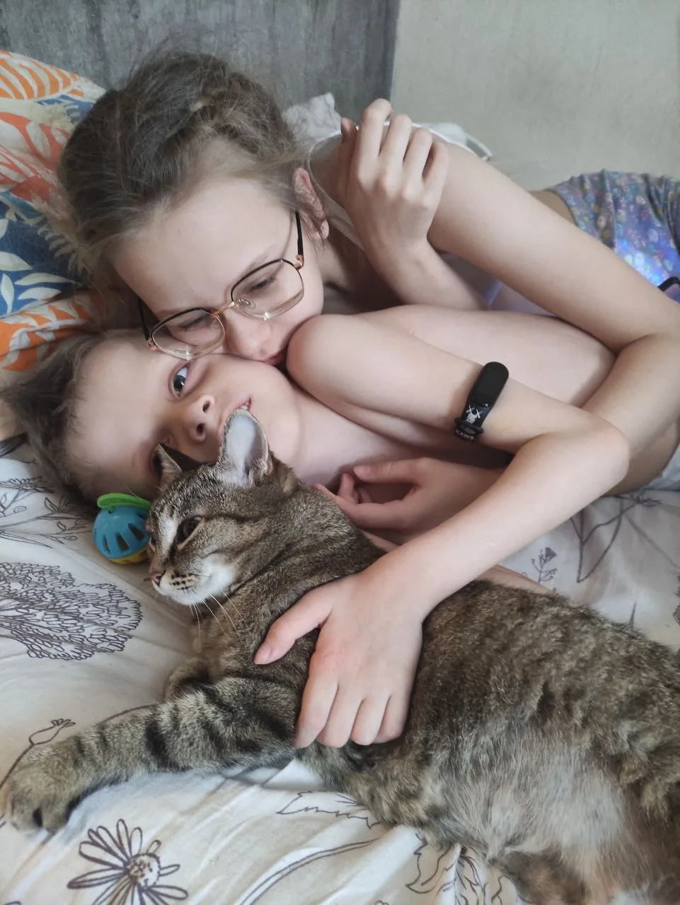 У нас живут две кошки.