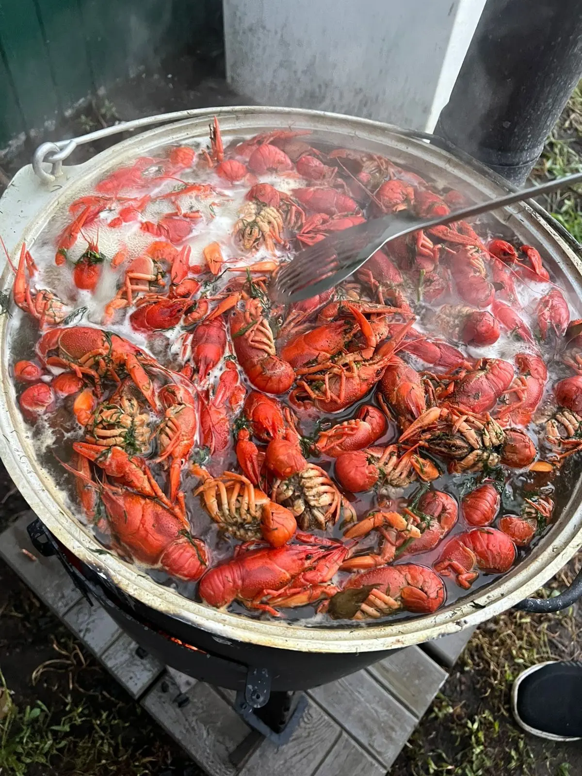 Без перерыва варим волжских вкусных красавчиков во всех магазинах 🦞