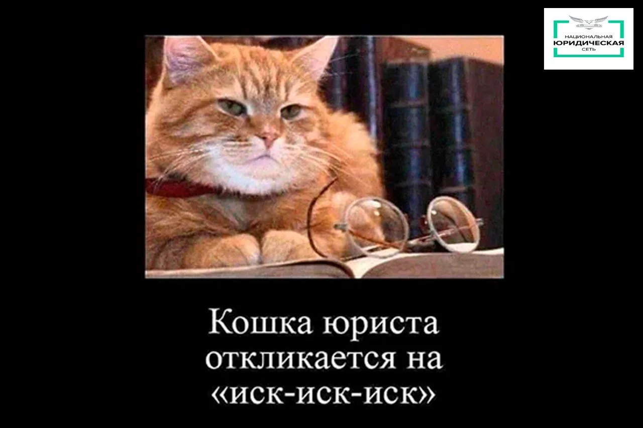 🐈Внутри компании есть свои «кошки-контролеры», которые следят за порядком. Когда речь идет о дебито