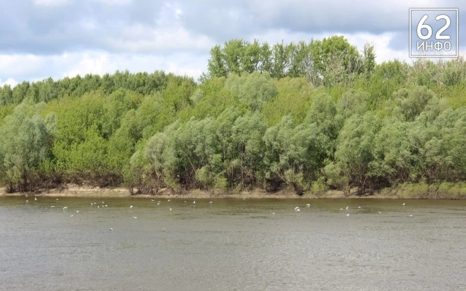 🌊 В Рязанской области продолжается половодье на реке Пра: через 2 месяца после максиму...