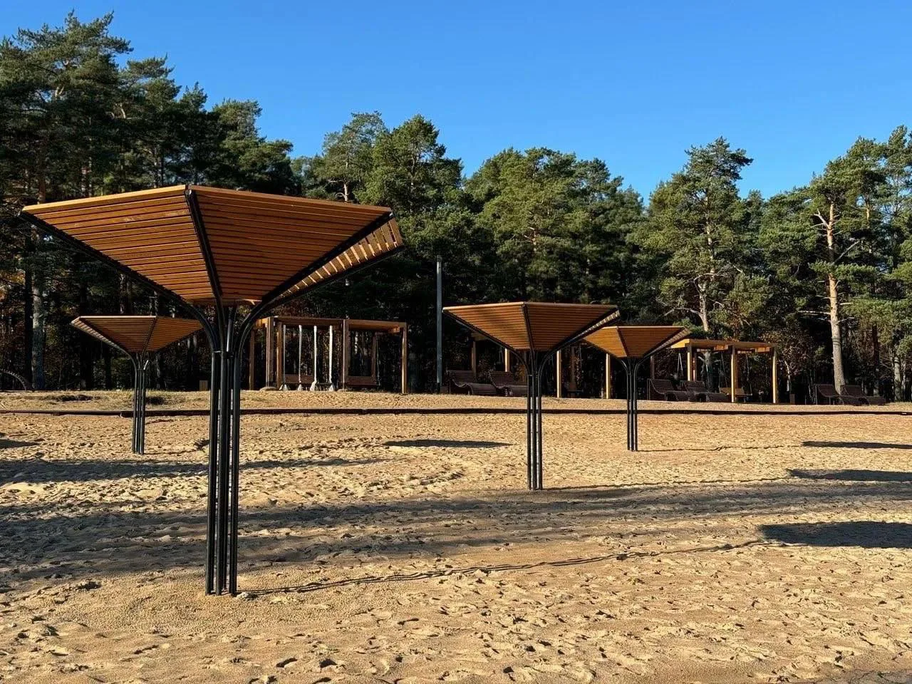 🏖️ Уютный пляж среди соснового леса на берегу Ладоги 🌊