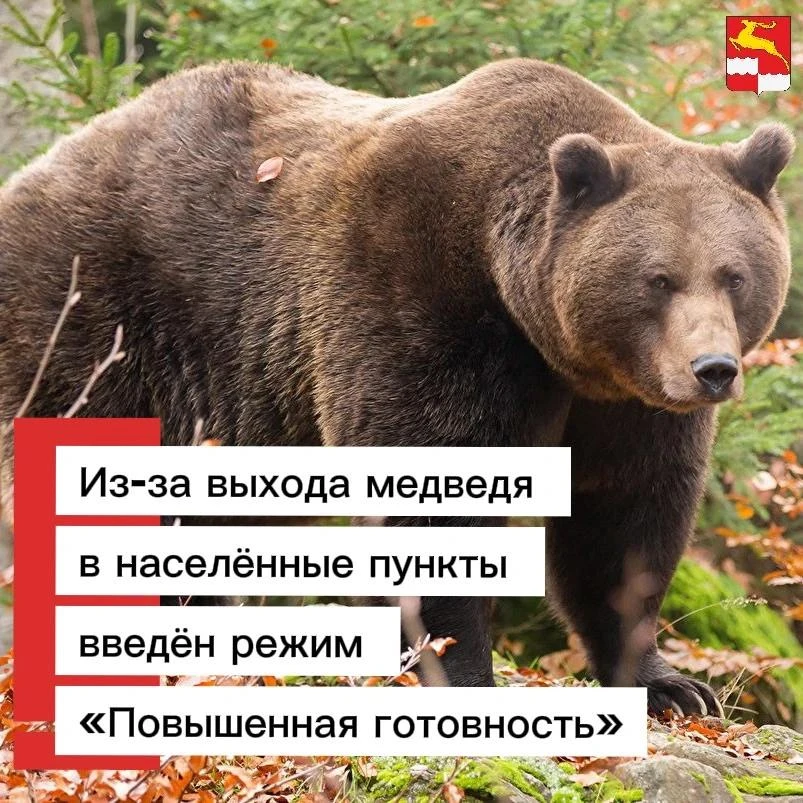 ⚠️В Кежемском округе введён режим «Повышенная готовность»