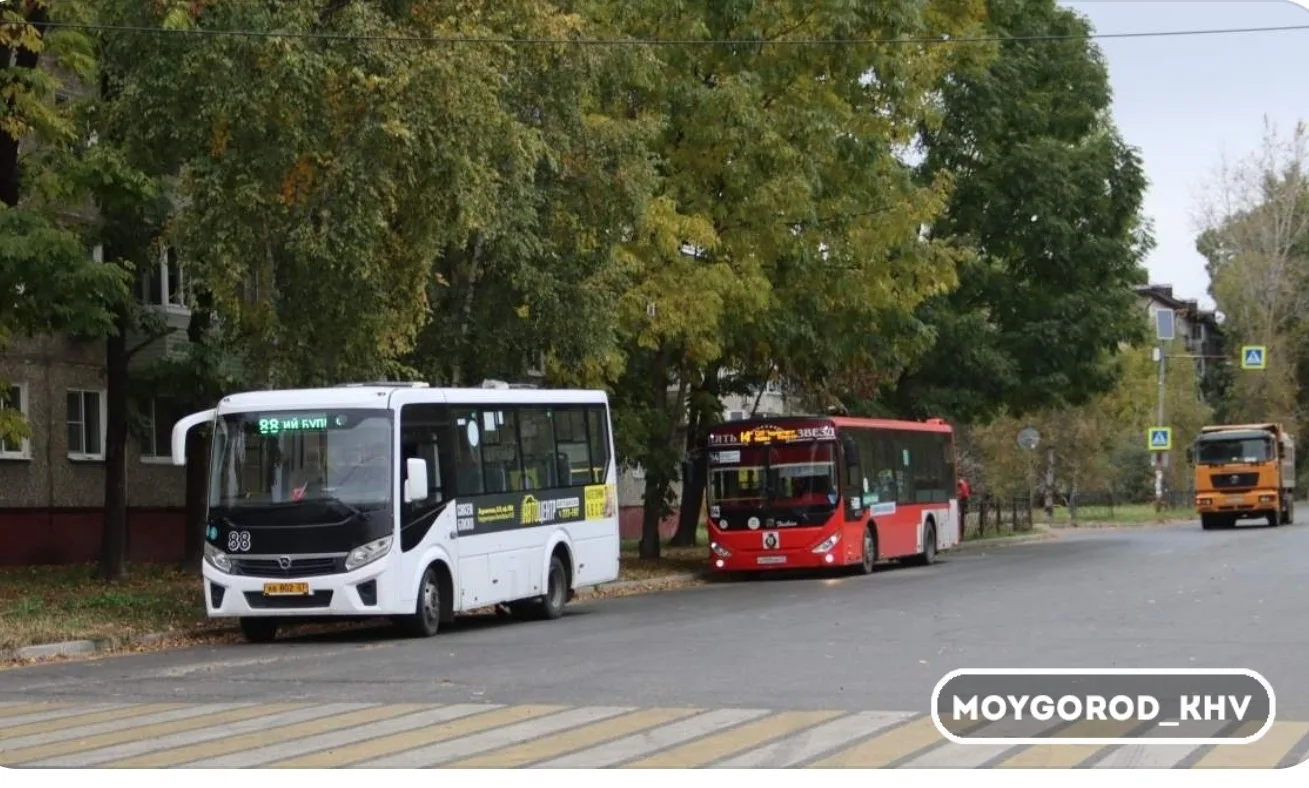 #moygorod_khvновости | AMURMEDIA
