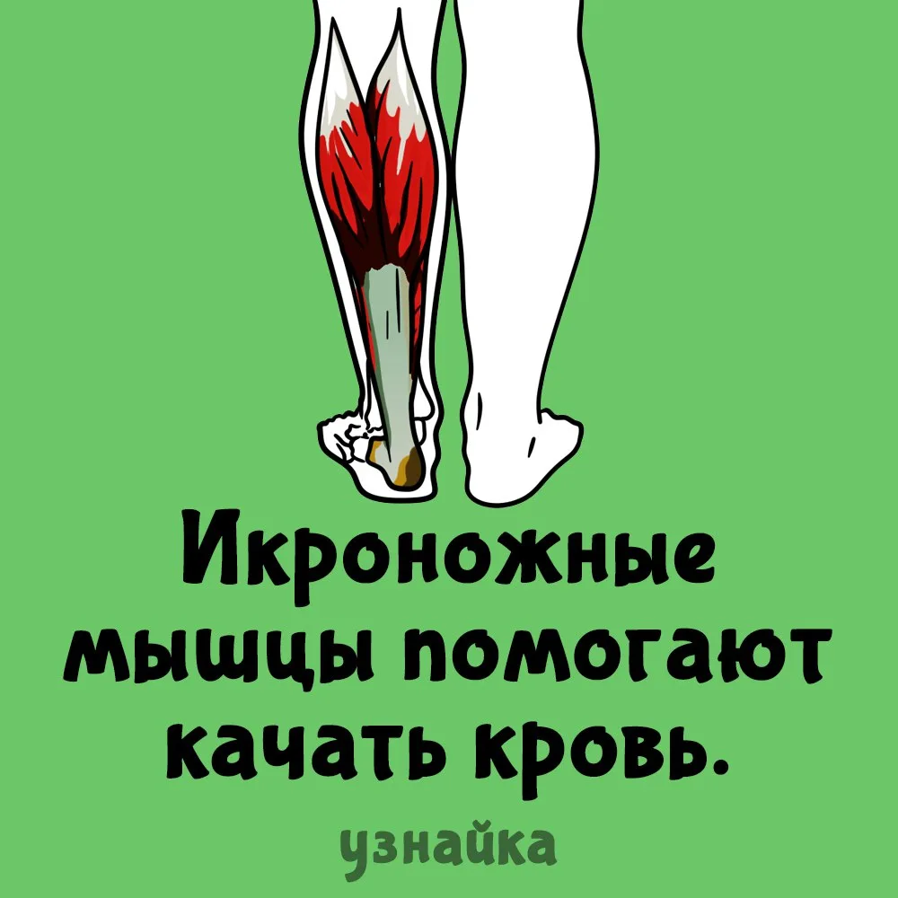 Качаем, ребята💪