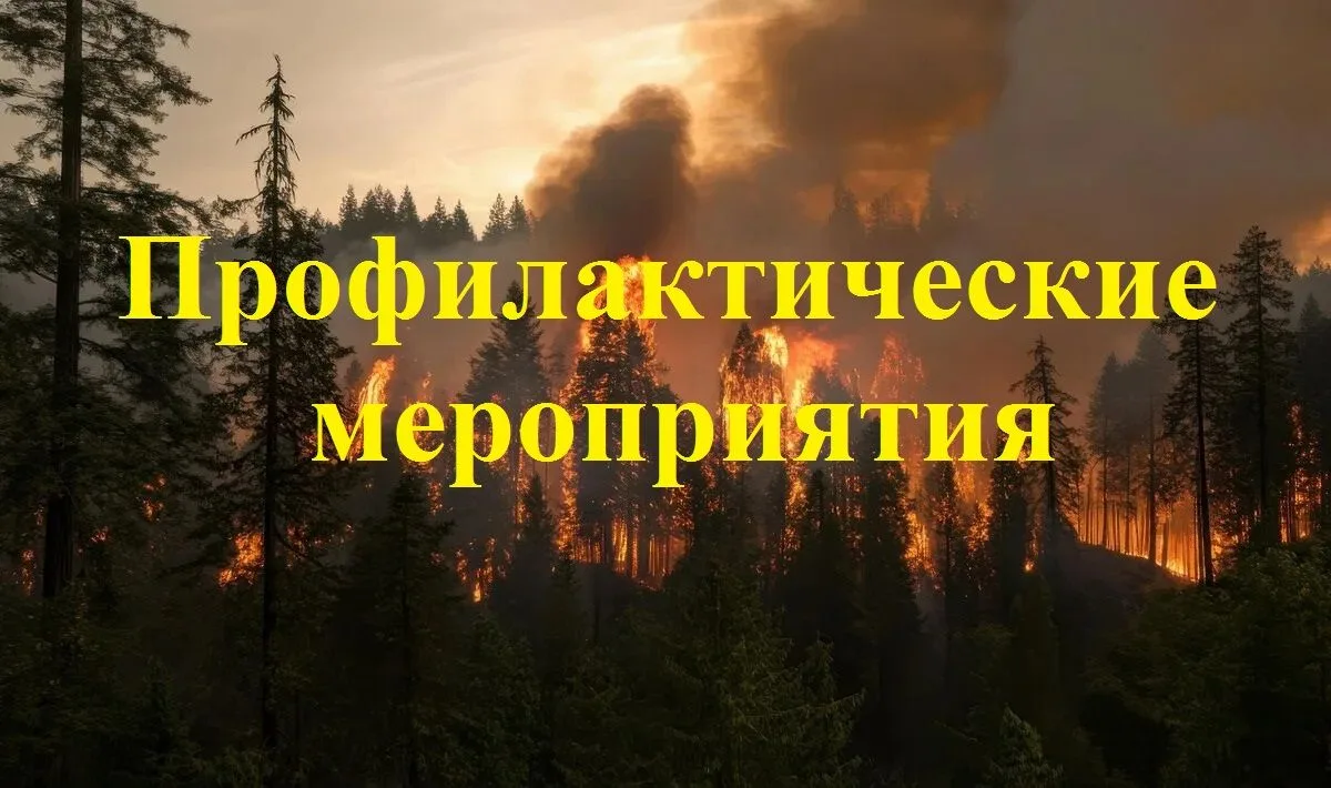 Уважаемые жители и гости Колпашевского района!