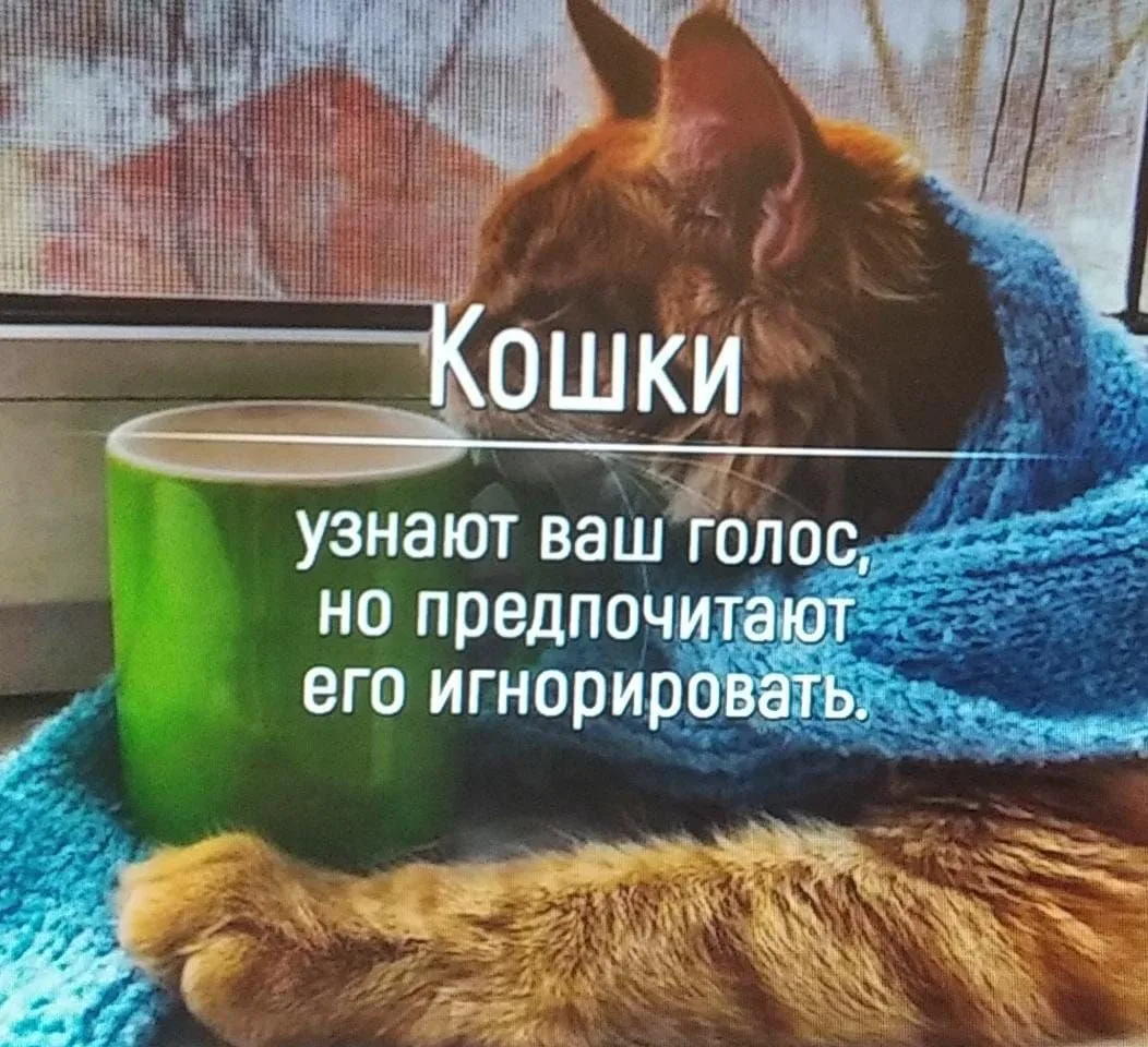 Признавайтесь, знали?