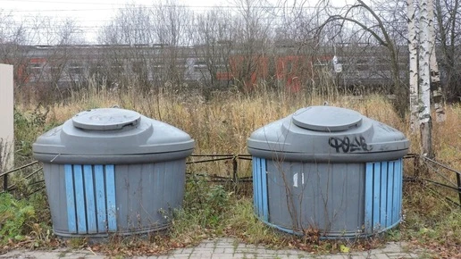 В Екатеринбурге напомнили о штрафах до 250 тысяч рублей за ветки в баках