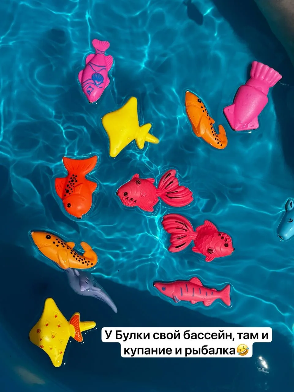 ПЛАНЫ НА НЕДЕЛЮ

Меня уже загрызла эта фоновая тревожность, поэтому я решила сконцентрироваться на х