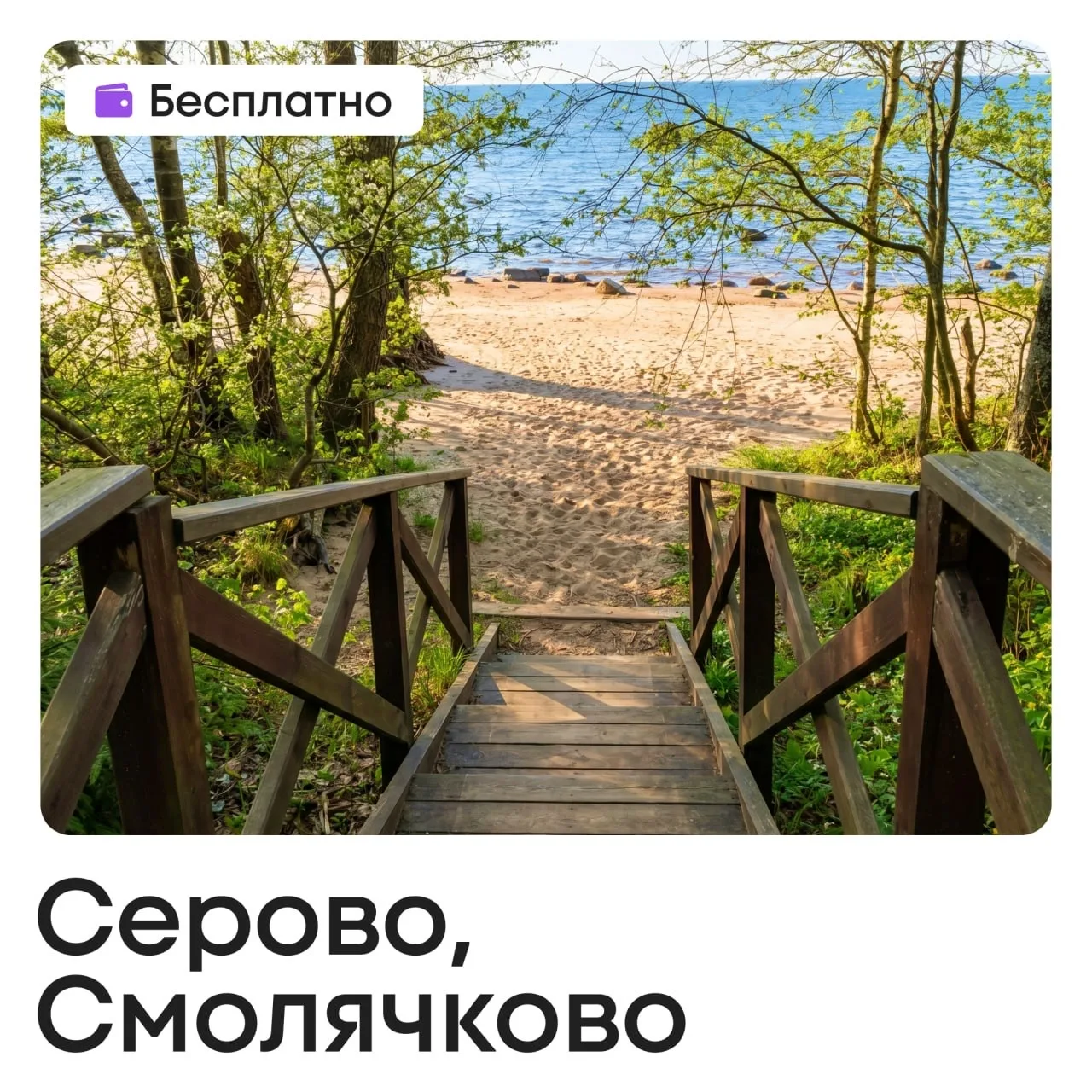 🍢 Майские без дачи: где бесплатно и законно жарить шашлыки в Петербурге   Какие майские без гриля и 