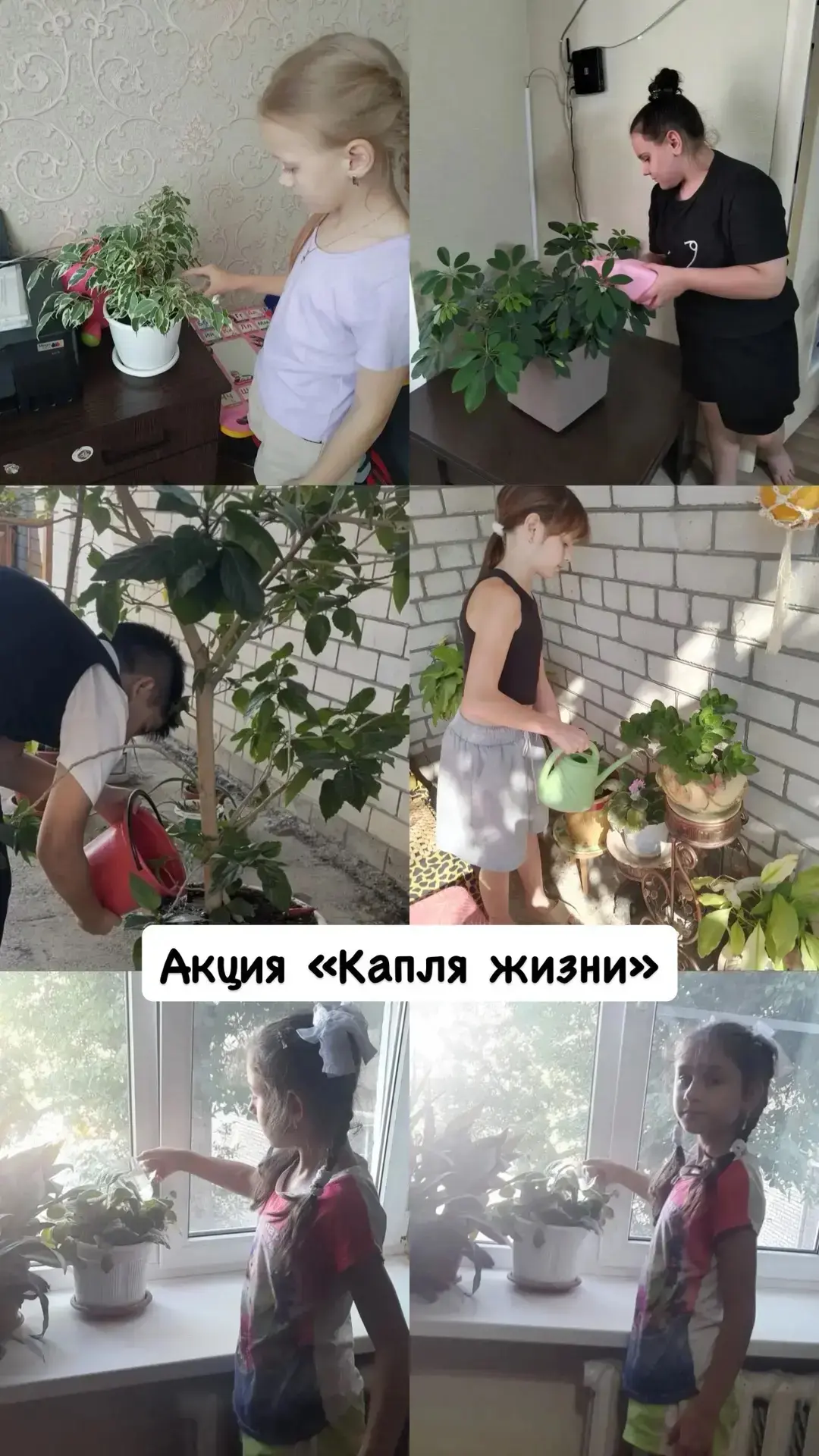 Ученики начальных классов приняли участие во Всероссийской акции «Капля жизни»! 🌿