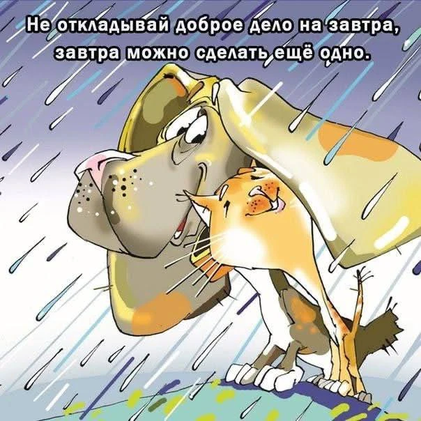 😃Православные тоже шутят - Позитивный канал, с доброй и душевной атмосферой.