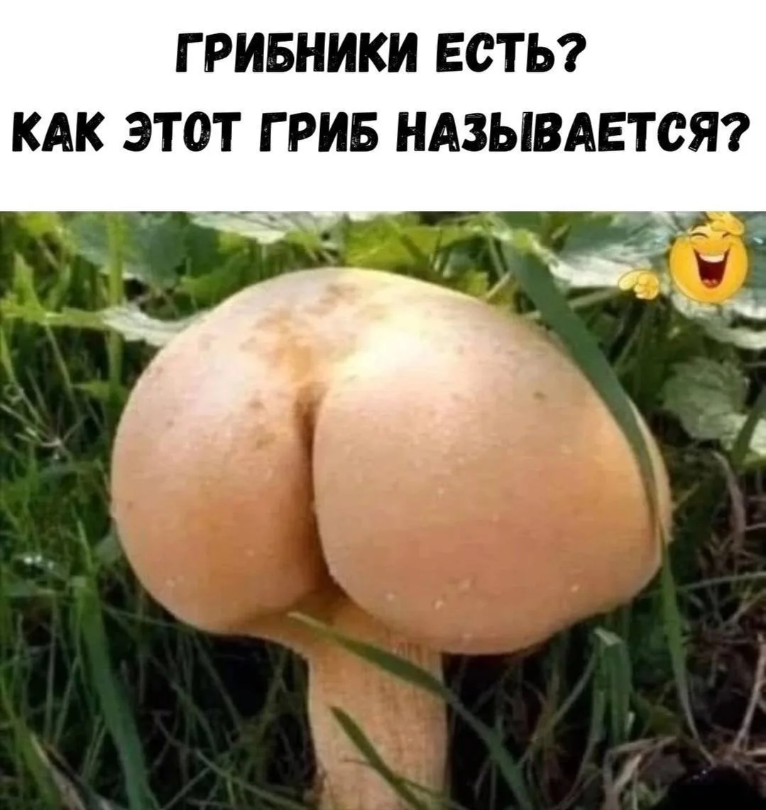 🤣🤣🤣