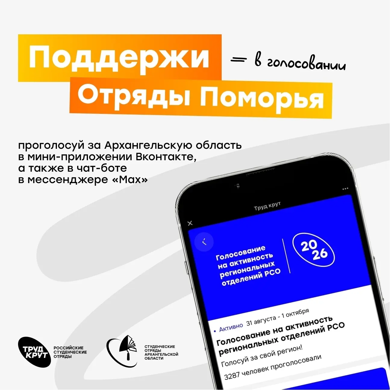 Заканчивается голосование за лучшее региональное отделение РСО!