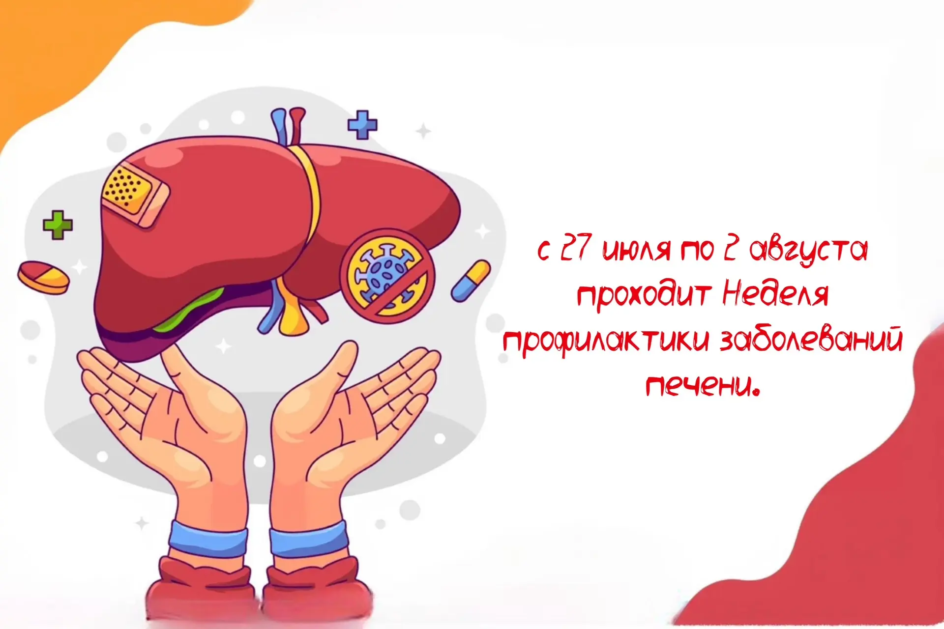 🥗 Печень — молчунья, но ей нужна наша забота! 
 
с 27 июля по 2 августа в России проходит Неделя пр