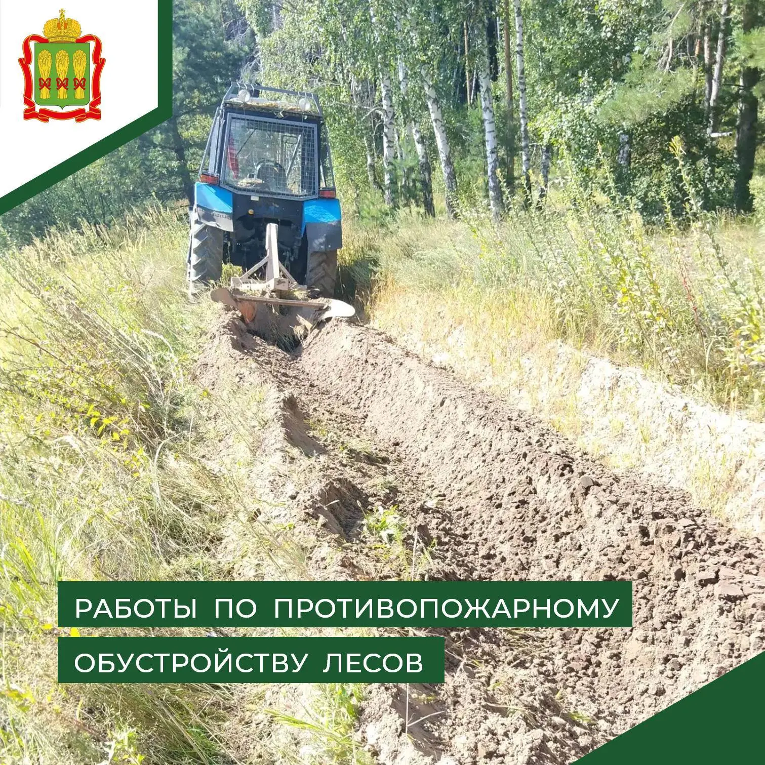 В Шемышейском лесничестве продолжаются работы по противопожарному обустройству 🔥