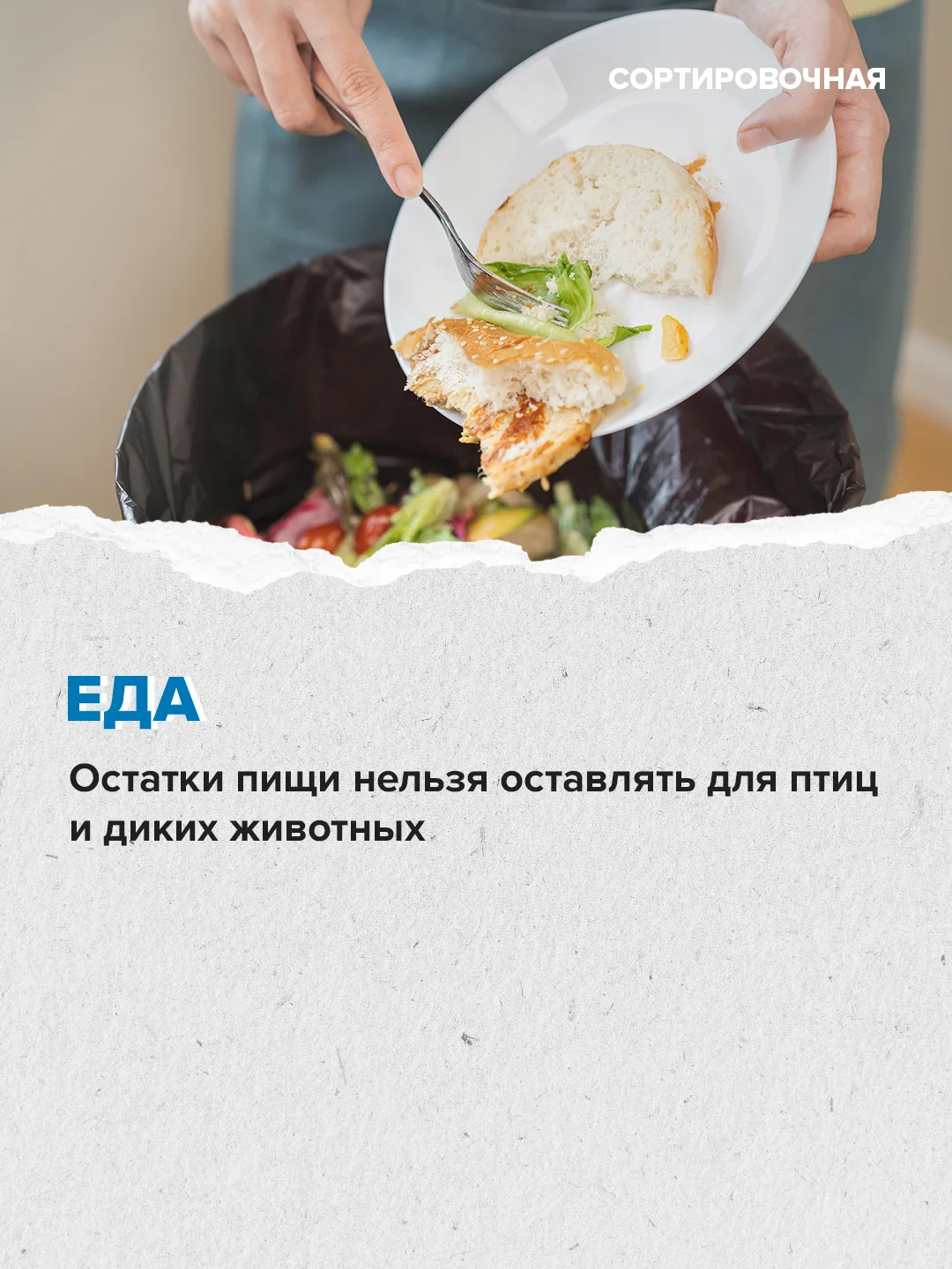 🍢 В пяти парках Москвы уже можно забронировать места для пикника  ⬆️ Как провести время на природных