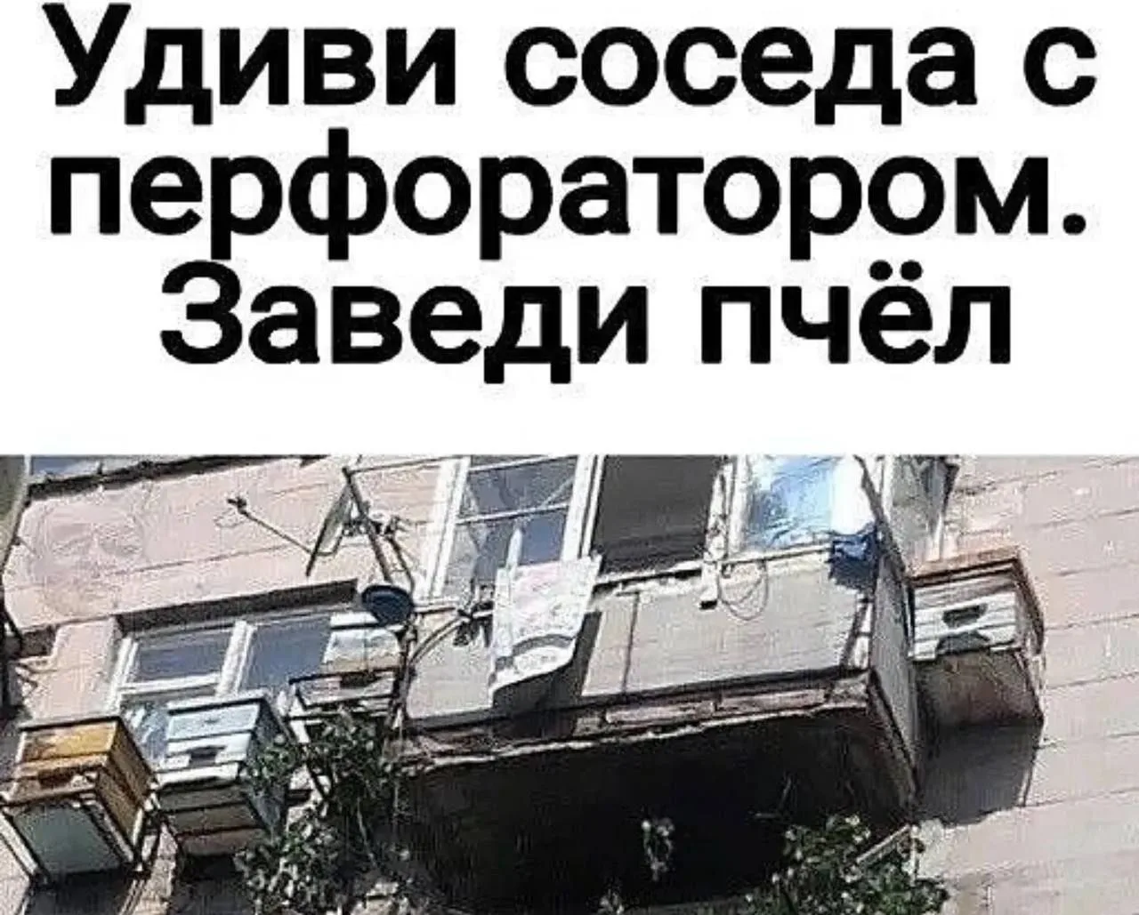 Смех без границ