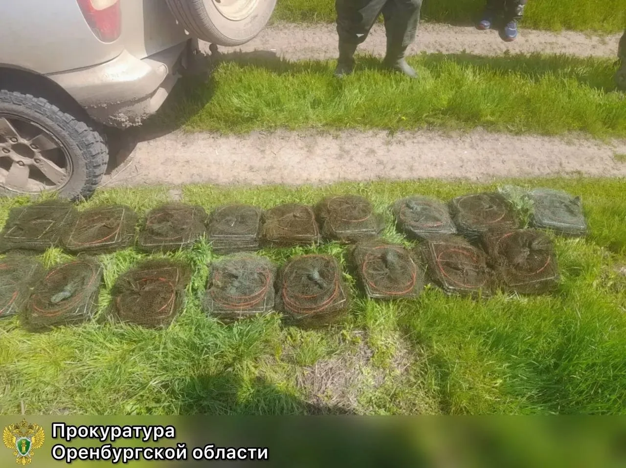 В Илекском районе браконьер заплатит 300 тысяч рублей штрафа за незаконный вылов рыбы и...