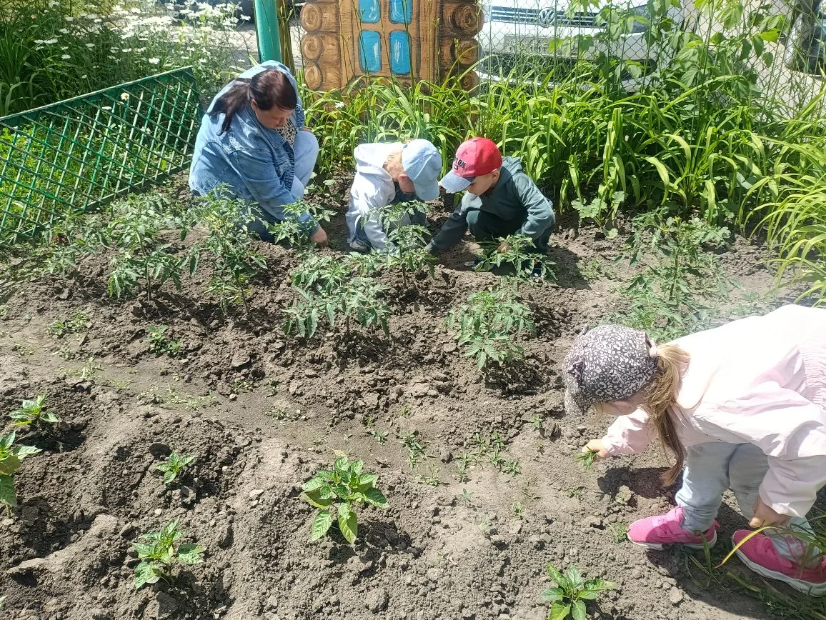 Работа на клумбе в детском саду — это отличный способ совместить приятное с полезным. Сегодня воспит