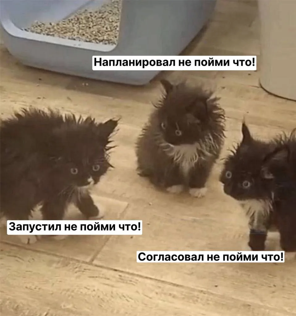Когда с коллегами в пятницу обсуждаете итоги работы за неделю🙃 И то, как вам жаль клиентов, которые