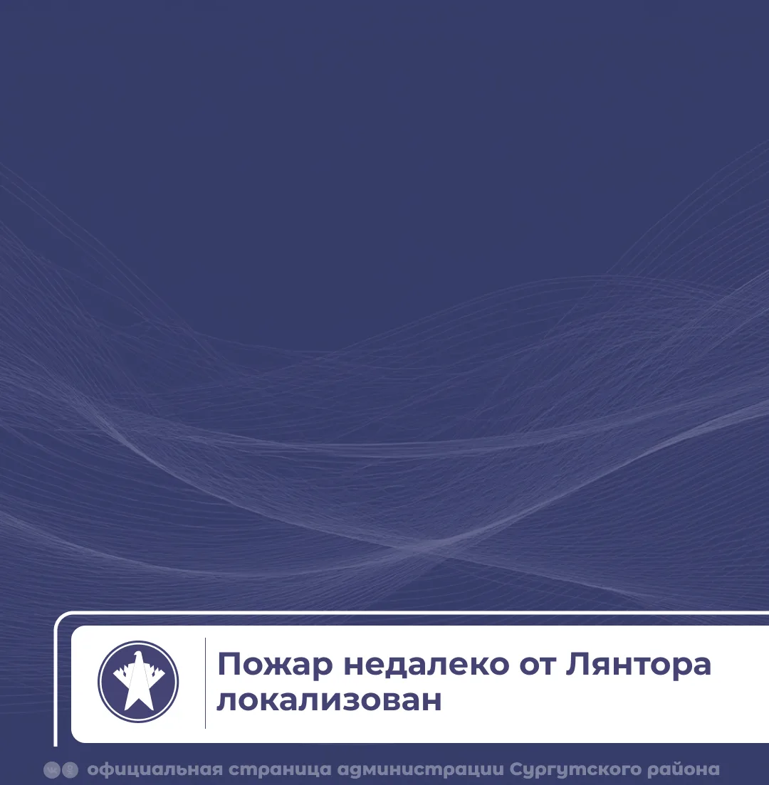 💬 Пожар недалеко от Лянтора локализован