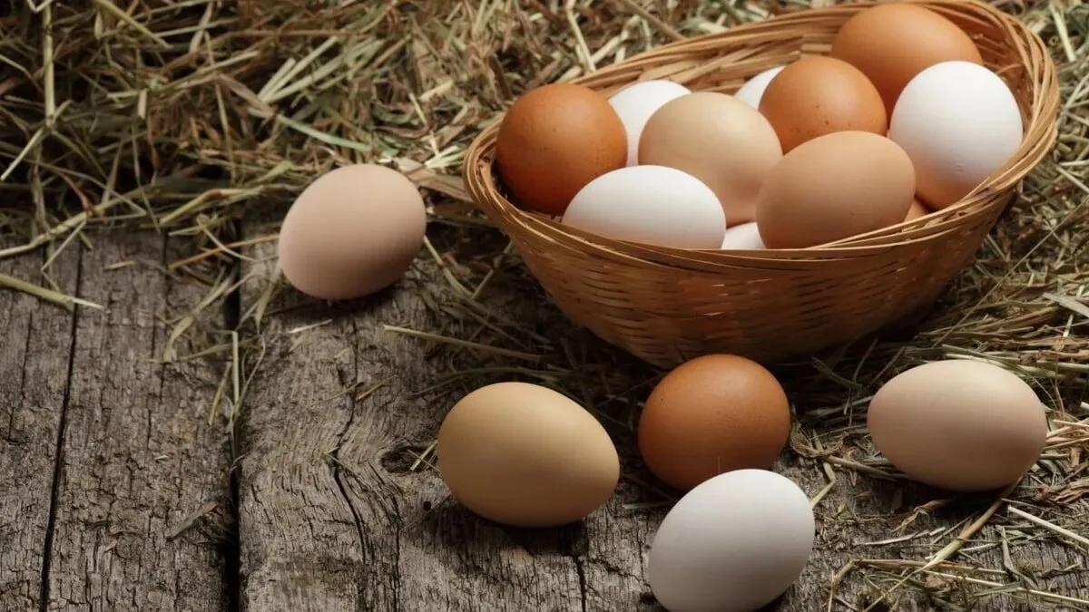 Яйца и сердце: новое исследование разрушает старые мифы! ❤️🥚

Долгое время яйца считались продуктом