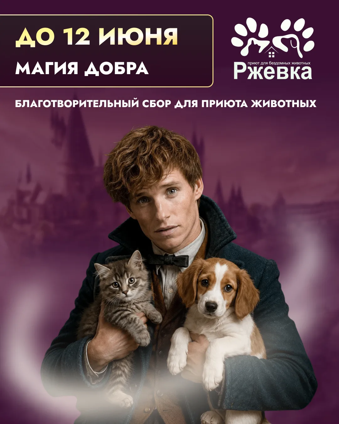 Магия добра 🐾 В Музее Гарри Поттера до 12 июня можно поучаствовать в благотворительном сборе для пр