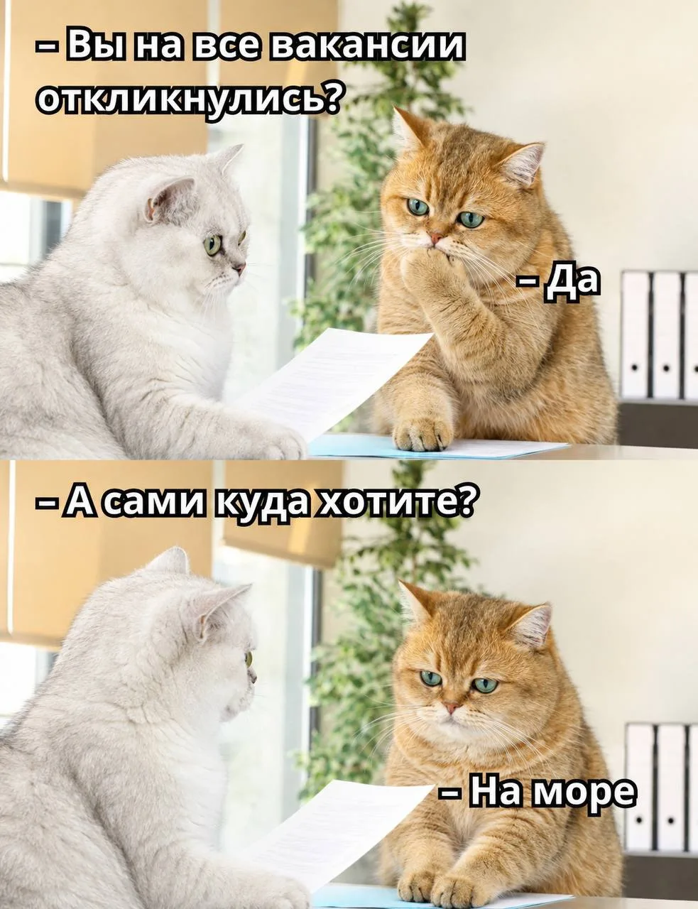 ❤️ - если солидарны с Марсом :)