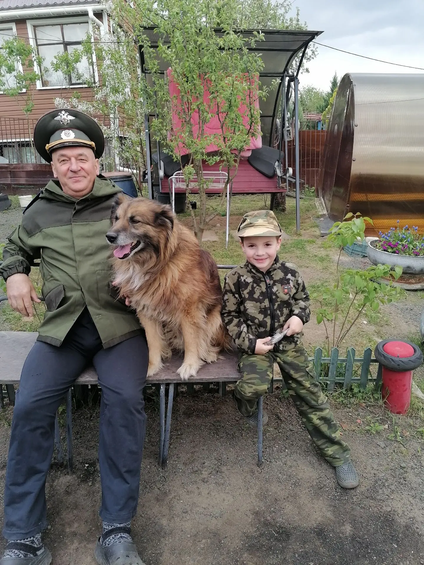 «Пропала собака после атаки БПЛА, кличка Миша.