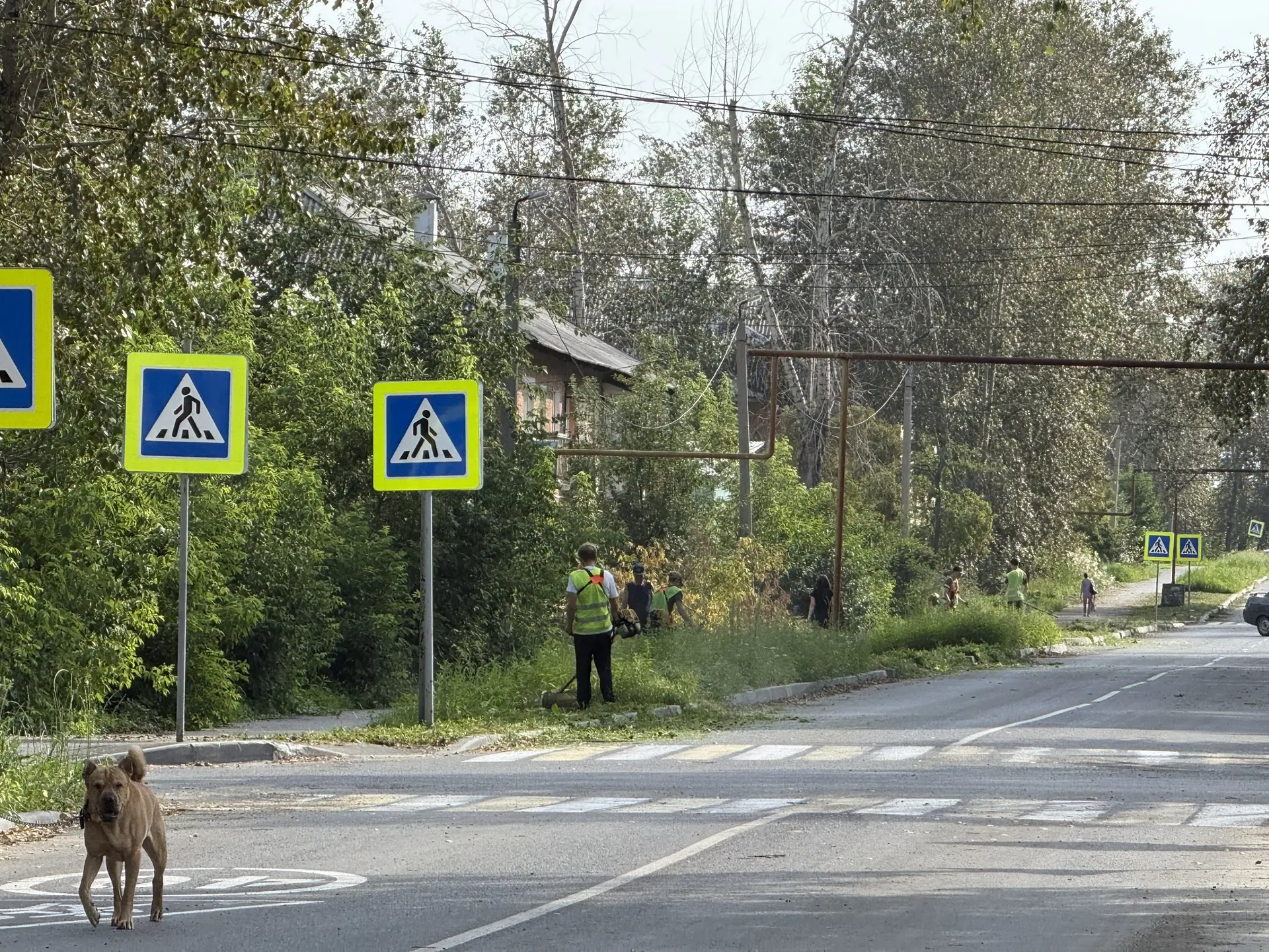 Доброе утро, уважаемые жители!

Сегодня подрядная организация приступила к плановому окосу территори