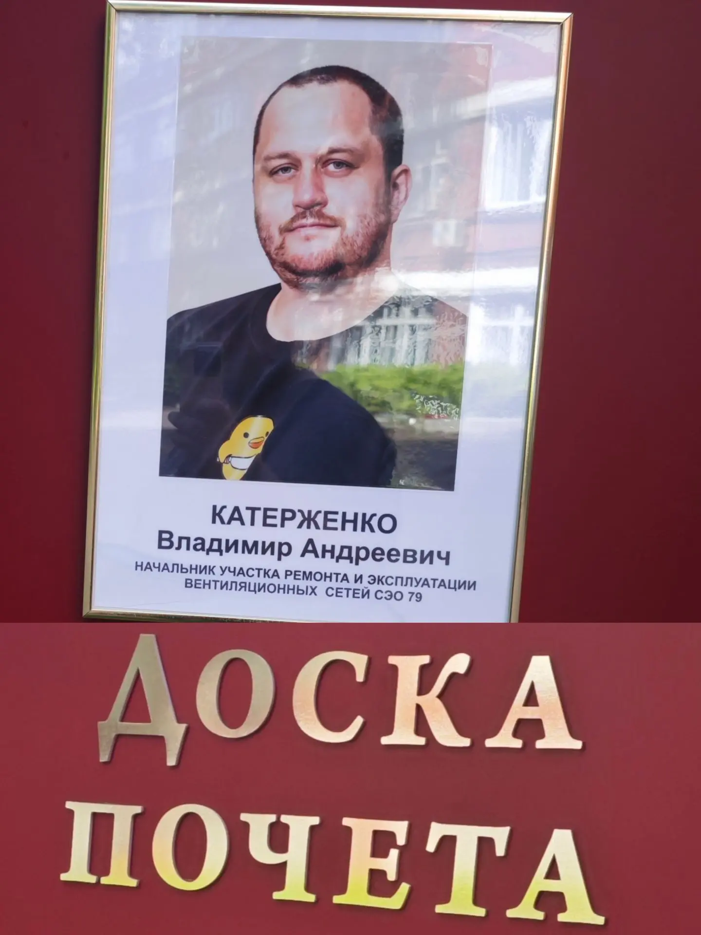 Иду такой и с боку рожа знакомая на меня смотрит. Пригляделся и вон оно что. Доска поче...